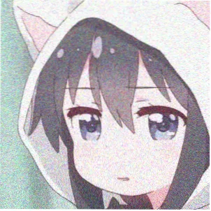 观众夜行猫的头像